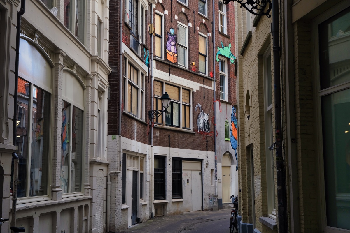 Steeg met street art van katten waar je tijdens de vegan food tour in Den Haag komt.